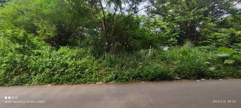 tanah perumahan harga 2 jt m bogor kota