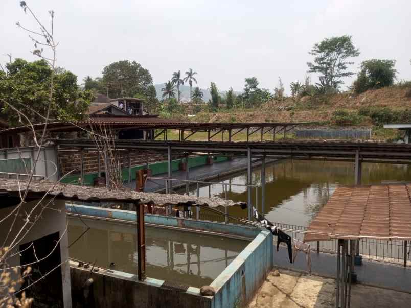 tanah plus kolam ikan plus rumah plus kebun