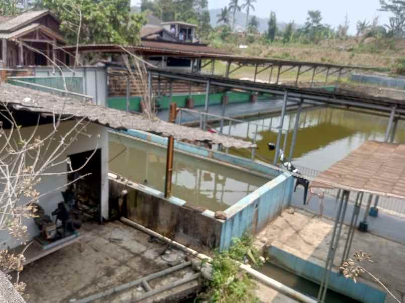 tanah plus kolam ikan plus rumah plus kebun