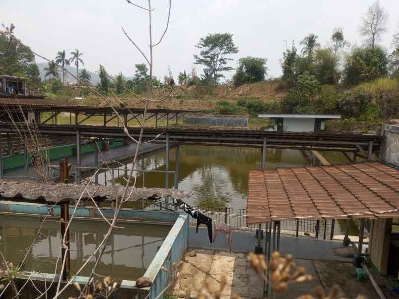 tanah plus kolam ikan plus rumah plus kebun