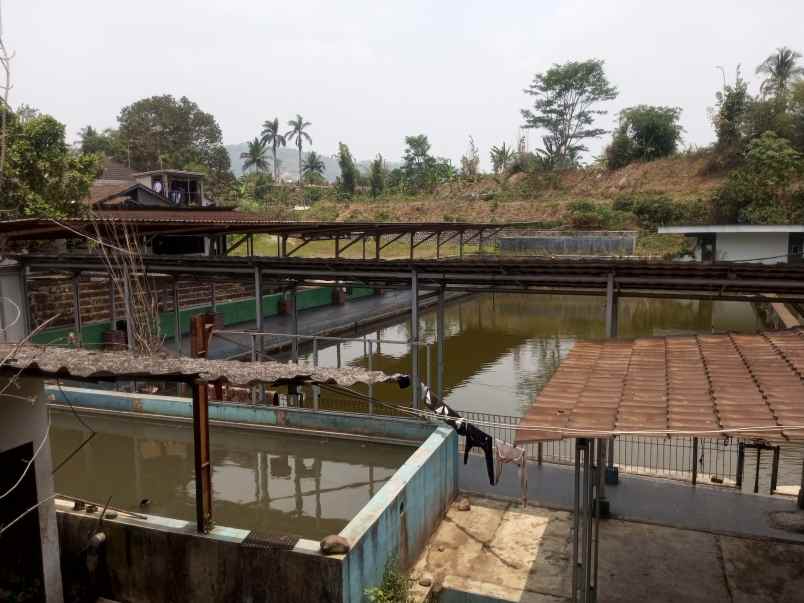 tanah plus kolam ikan plus rumah plus kebun