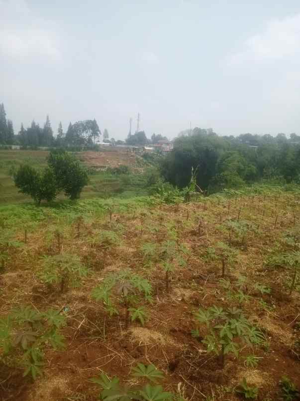 tanah strategis tanah invest