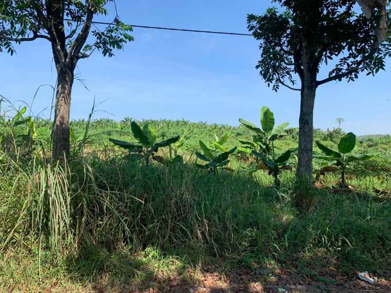 tanah sudah shm di pusat kota cianjur