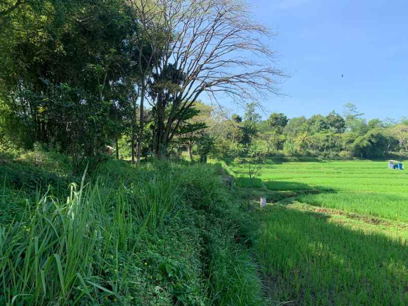 tanah sudah shm di pusat kota cianjur