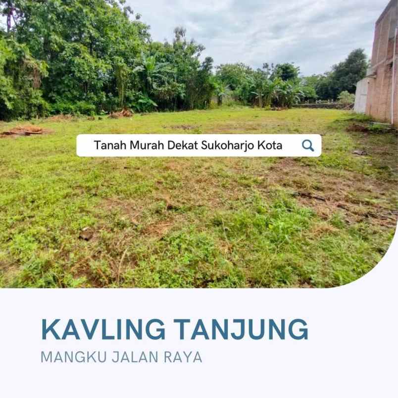 tanah tanjung sukoharjo