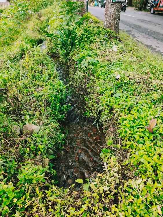 tanah tepi jl raya kemuning