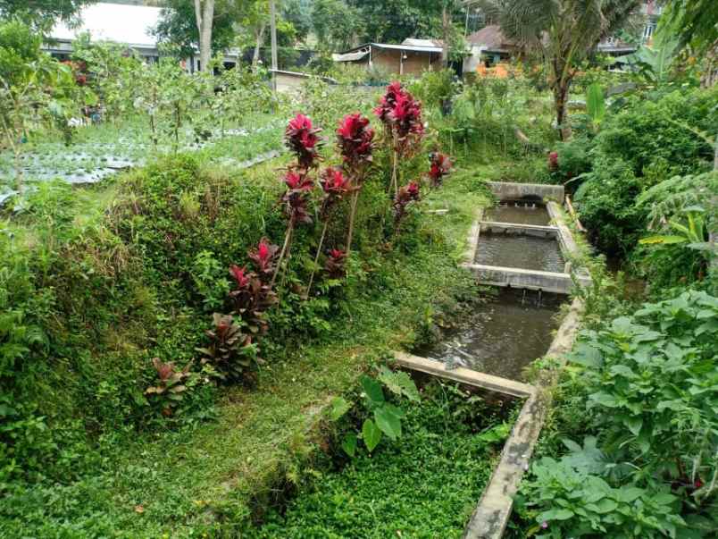 tanah tepi jl raya kemuning