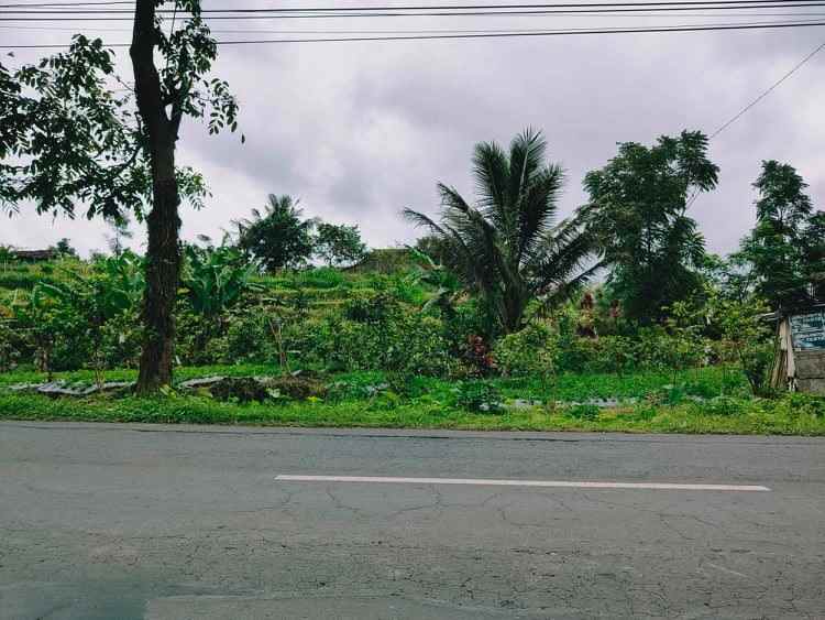 tanah tepi jl raya kemuning