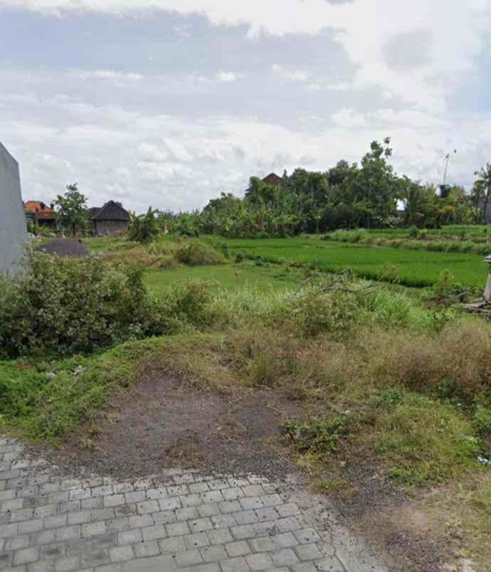 tanah view sawah di siulan denpasar timur