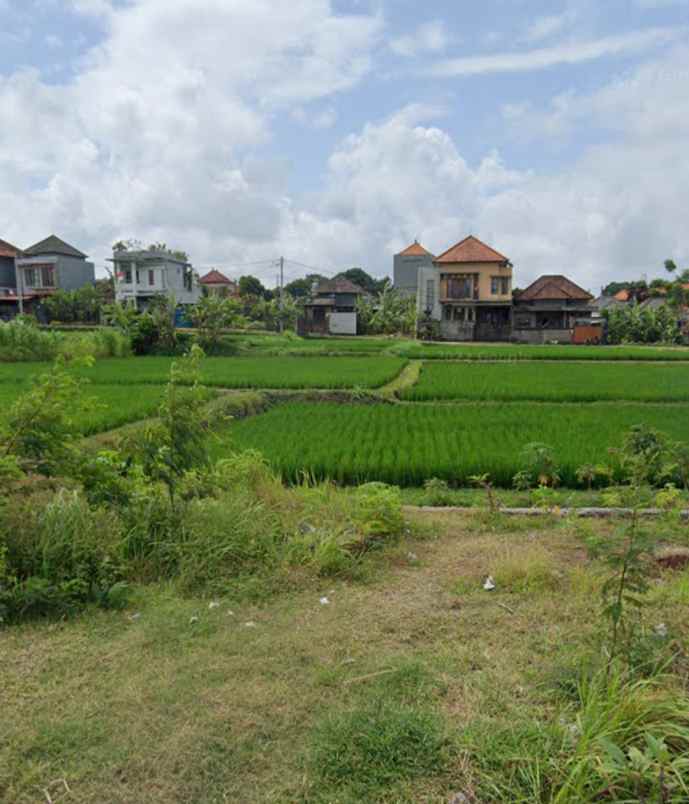 tanah view sawah di siulan denpasar timur