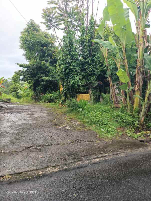 tanah yellow zone dekat exit toll mengwi badung bali