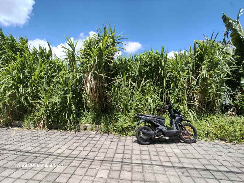 tanah zona kuning di tibubeneng canggu bali