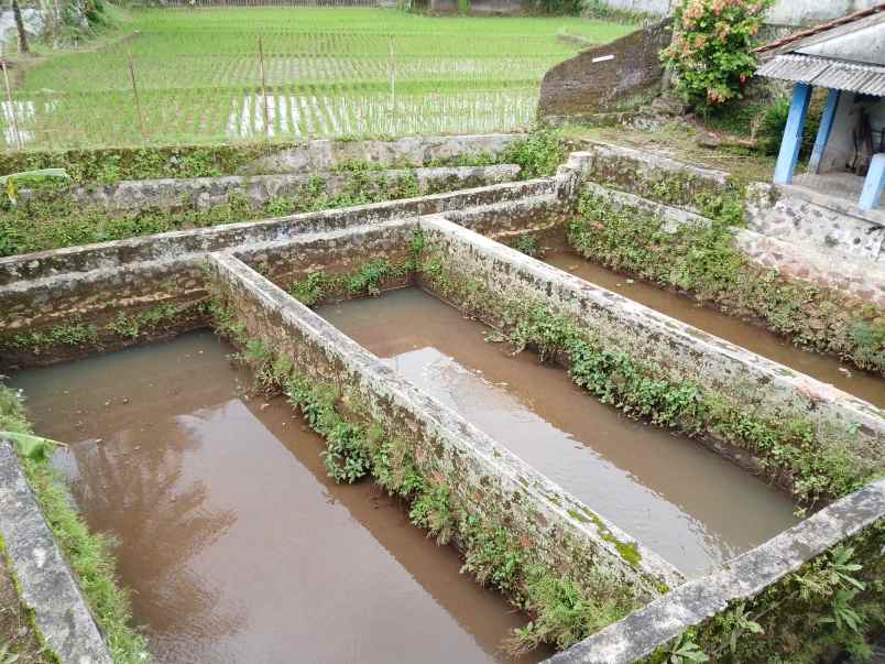 vila kolam ikan dekat sungai view bagus di subang