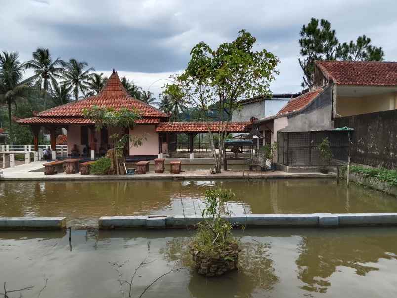 vila kolam ikan dekat sungai view bagus di subang