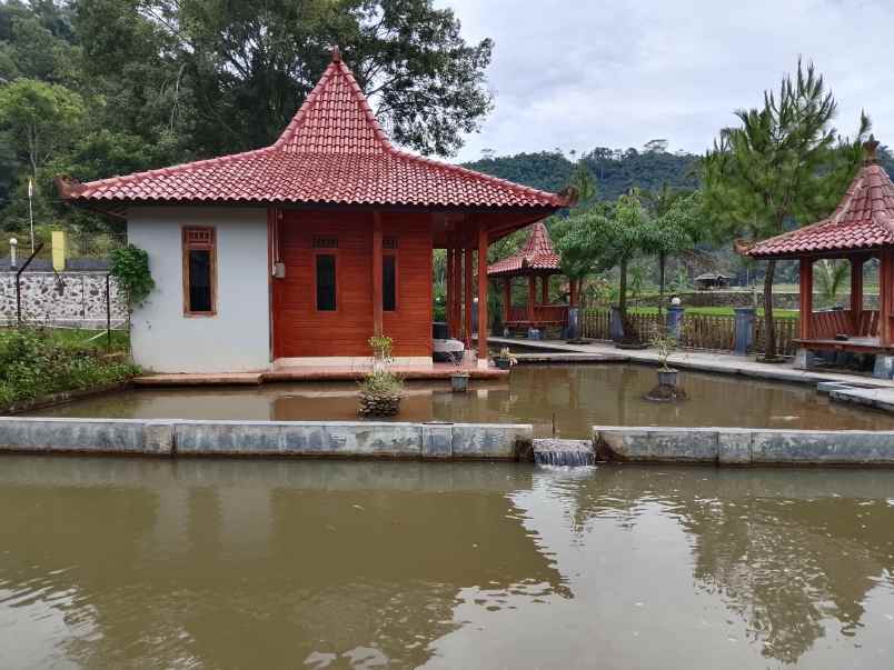 vila kolam ikan dekat sungai view bagus di subang