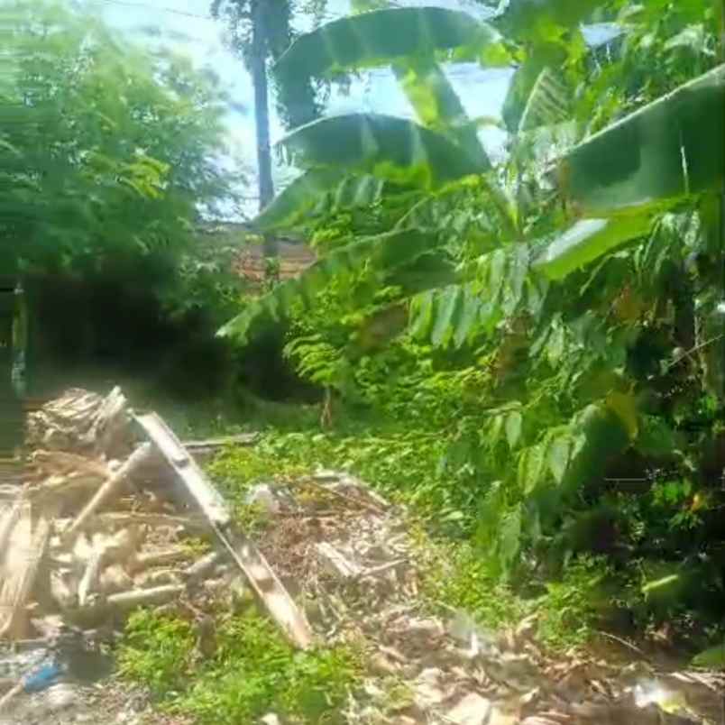 dijual 10 5 are jl tunjung sari gatsu barat denpasar