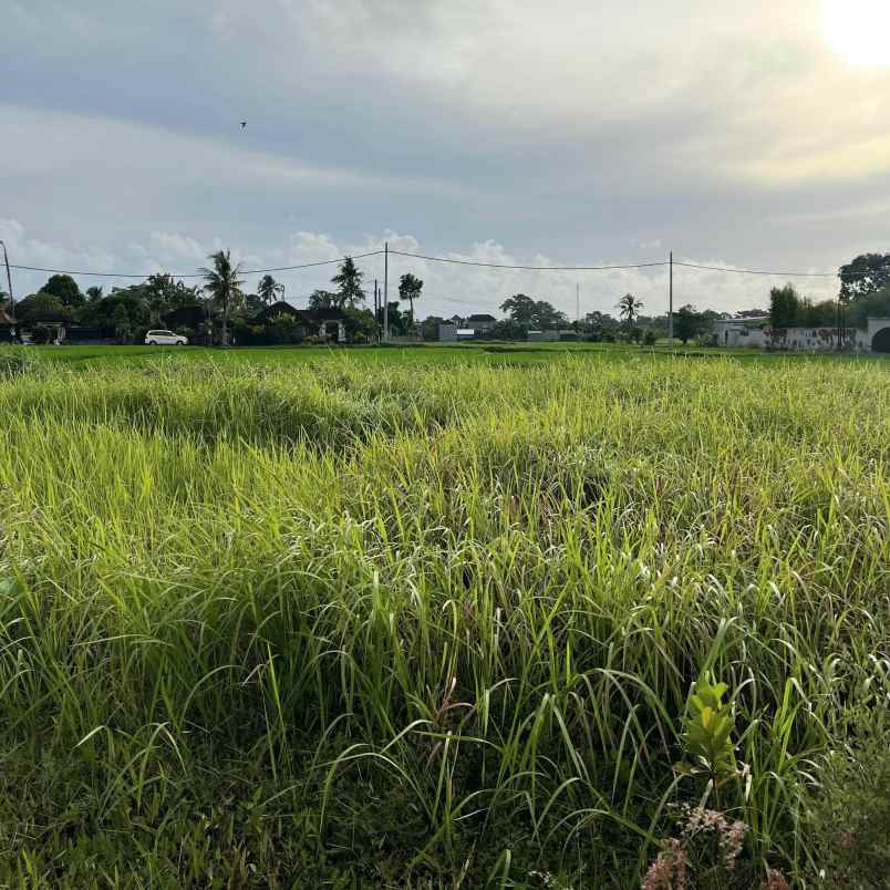 dijual 2 are jl pantai kedungu belalang kediri tabanan