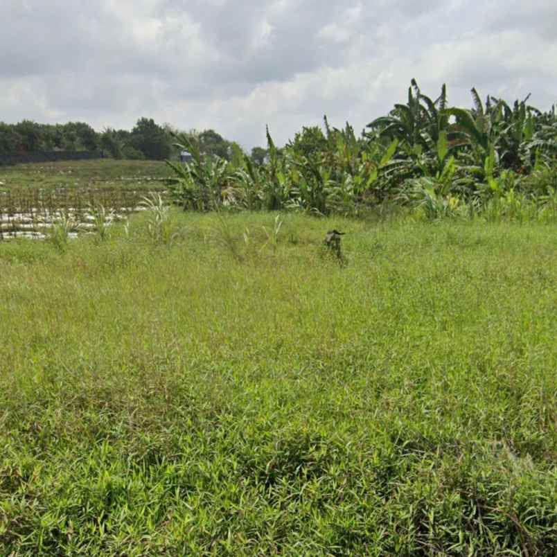 dijual 72 5 are loss pantai gangga sudimara tabanan