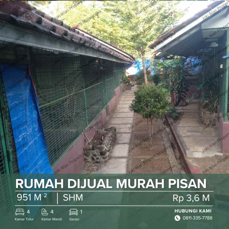 dijual cepat rumah 2 lantai 2 kolam dan kandang merak