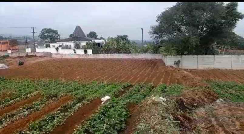 dijual cepat tanah dekat taman safari indonesia