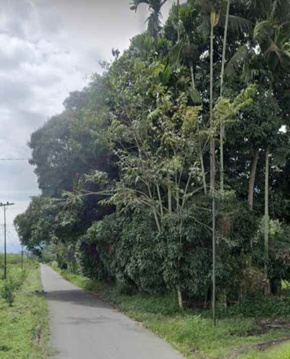 dijual cepat tanah murah
