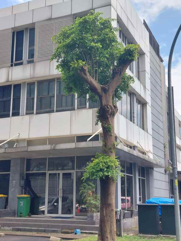 dijual ruko di prominence alam sutera pinang tangerang