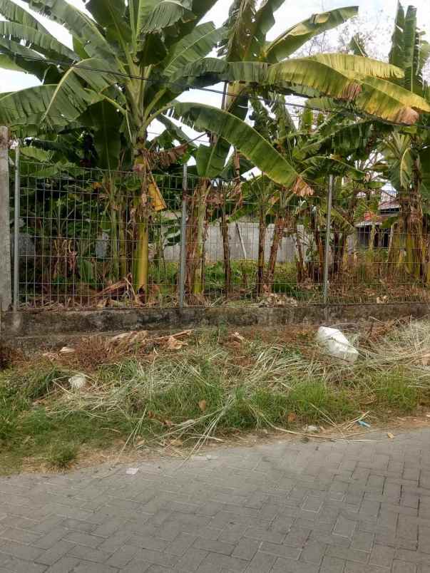dijual ruko gudang kantor alam bukit raya