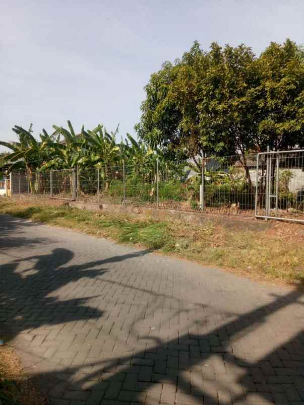 dijual ruko gudang kantor alam bukit raya