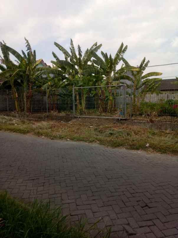 dijual ruko gudang kantor alam bukit raya
