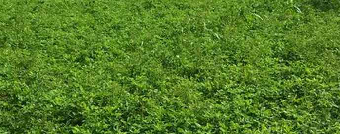 dijual ruko gudang kantor dharmahusada