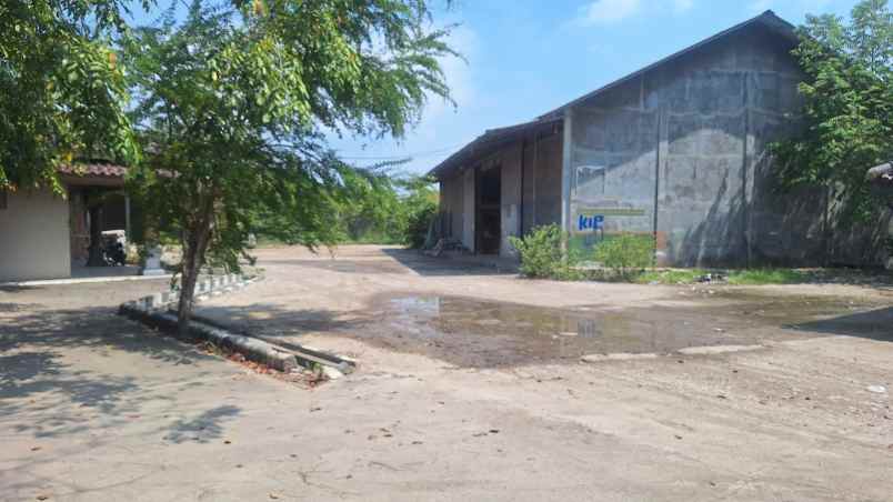 dijual ruko gudang kantor jl sungai tiram