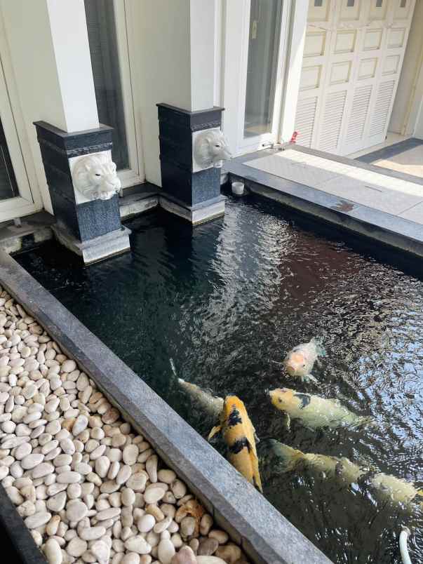 dijual rumah blimbing