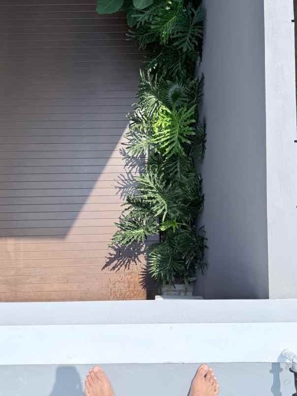 dijual rumah jalan raya cilandak residence
