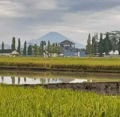 dijual rumah jl godean km 8