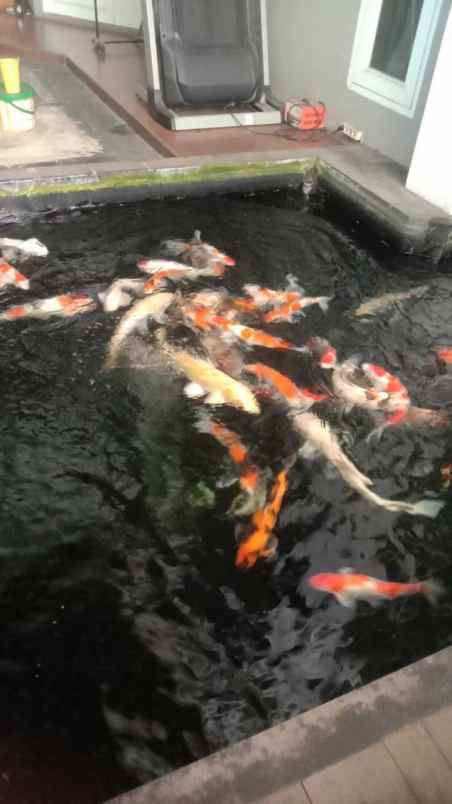 dijual rumah jl ibrahim adji kota bandung