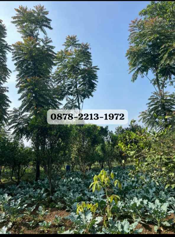 dijual rumah lembang bandung