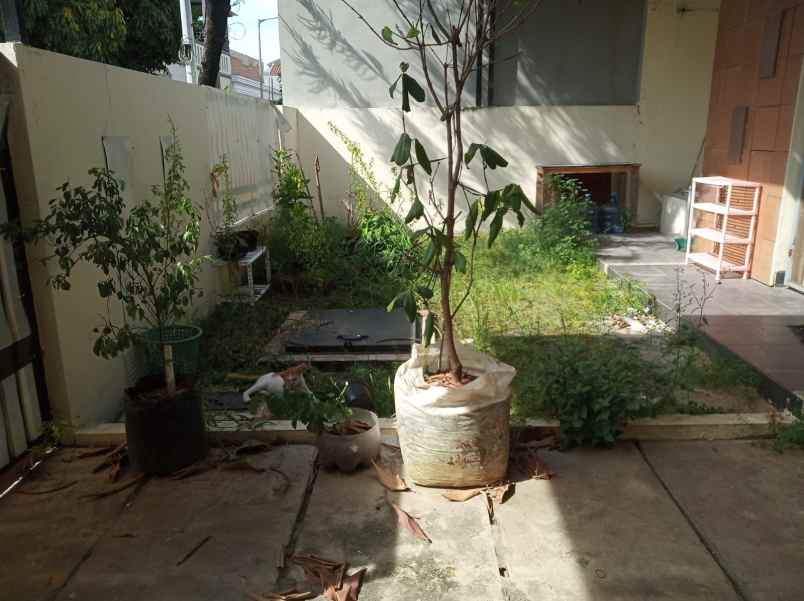 dijual rumah metland menteng