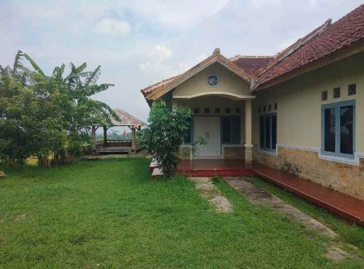 dijual rumah tanah luas pinggir jalan view sawah