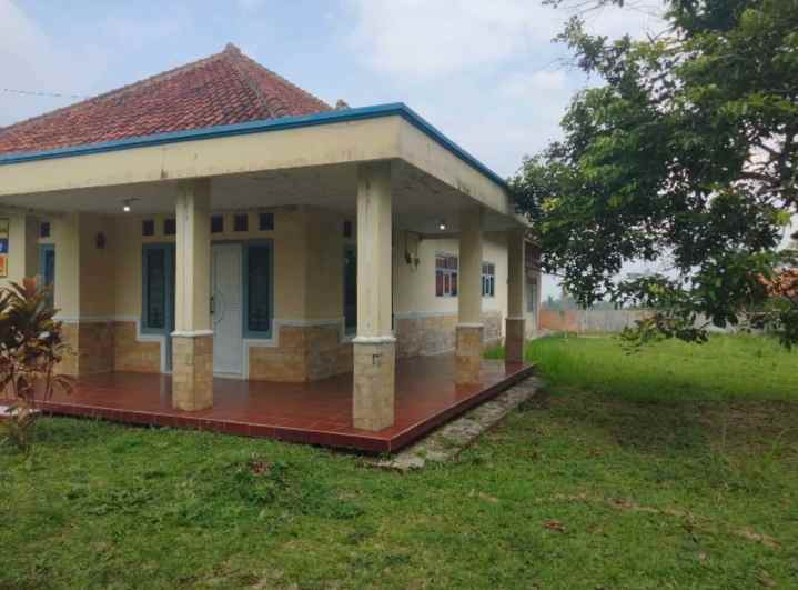 dijual rumah tanah luas pinggir jalan view sawah
