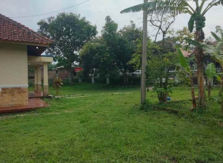 dijual rumah tanah luas pinggir jalan view sawah