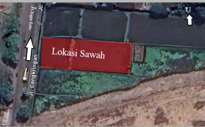 dijual sawah strategis di jalan cangkringan sleman