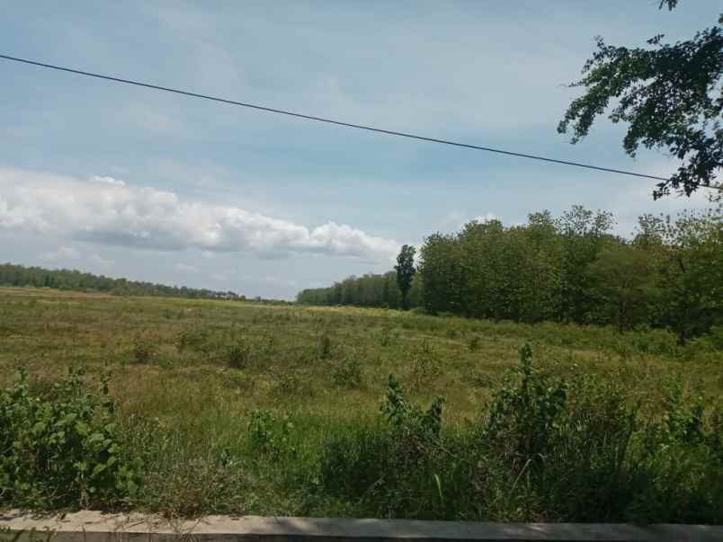 dijual tanah 20 000m2 dengan prospek besar