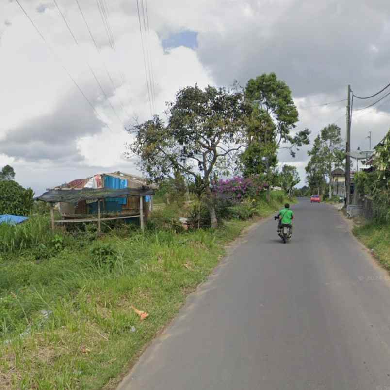 dijual tanah bedugul