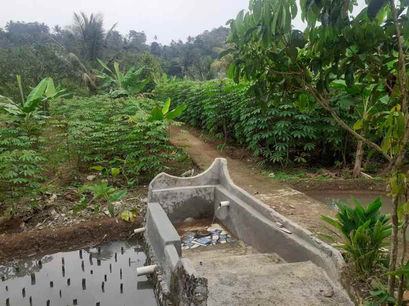 dijual tanah beserta rumah di cikidang sukabumi