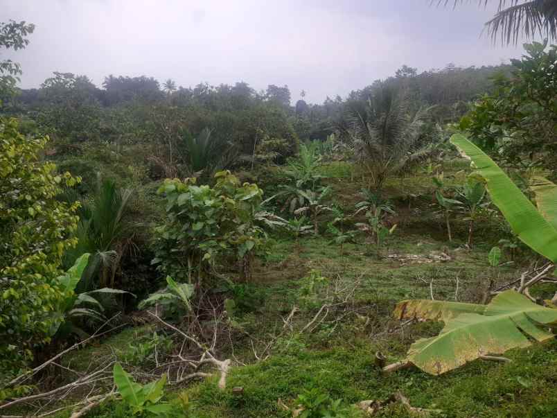 dijual tanah beserta rumah di cikidang sukabumi