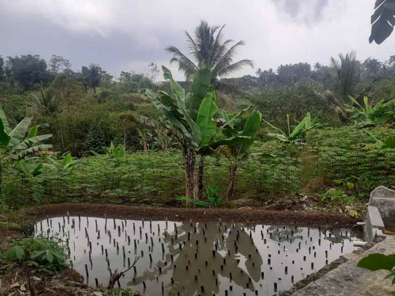 dijual tanah beserta rumah di cikidang sukabumi