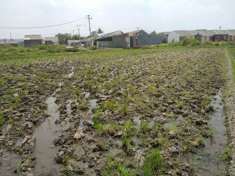 dijual tanah bl cibogo rt 01 rw 15