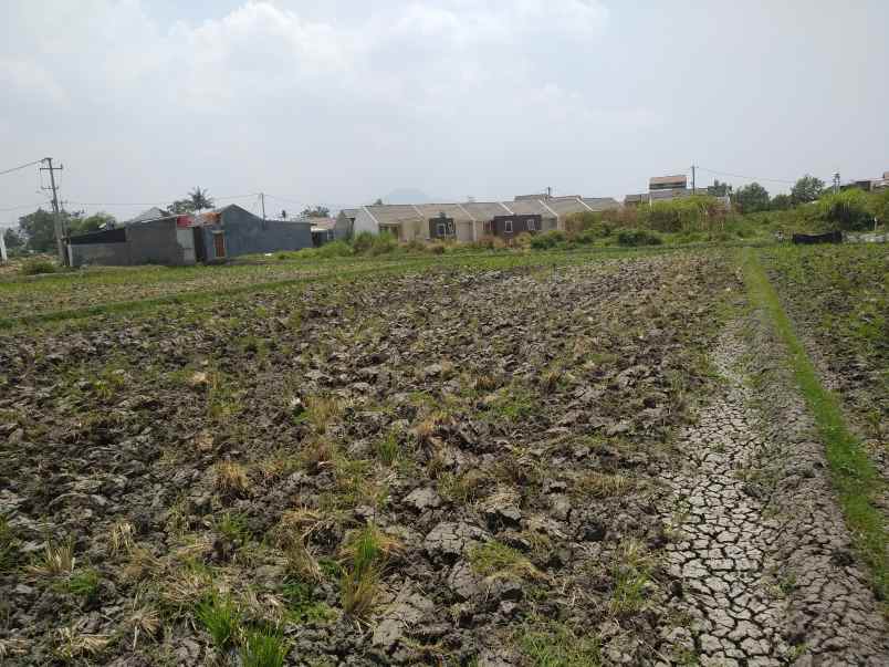 dijual tanah bl cibogo rt 01 rw 15