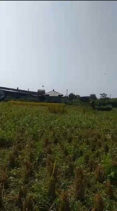 dijual tanah bl cibogo rt 01 rw 15