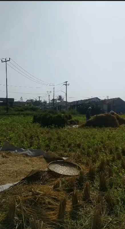 dijual tanah bl cibogo rt 01 rw 15